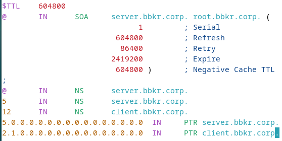 DNS Reverse Zone Configuration
